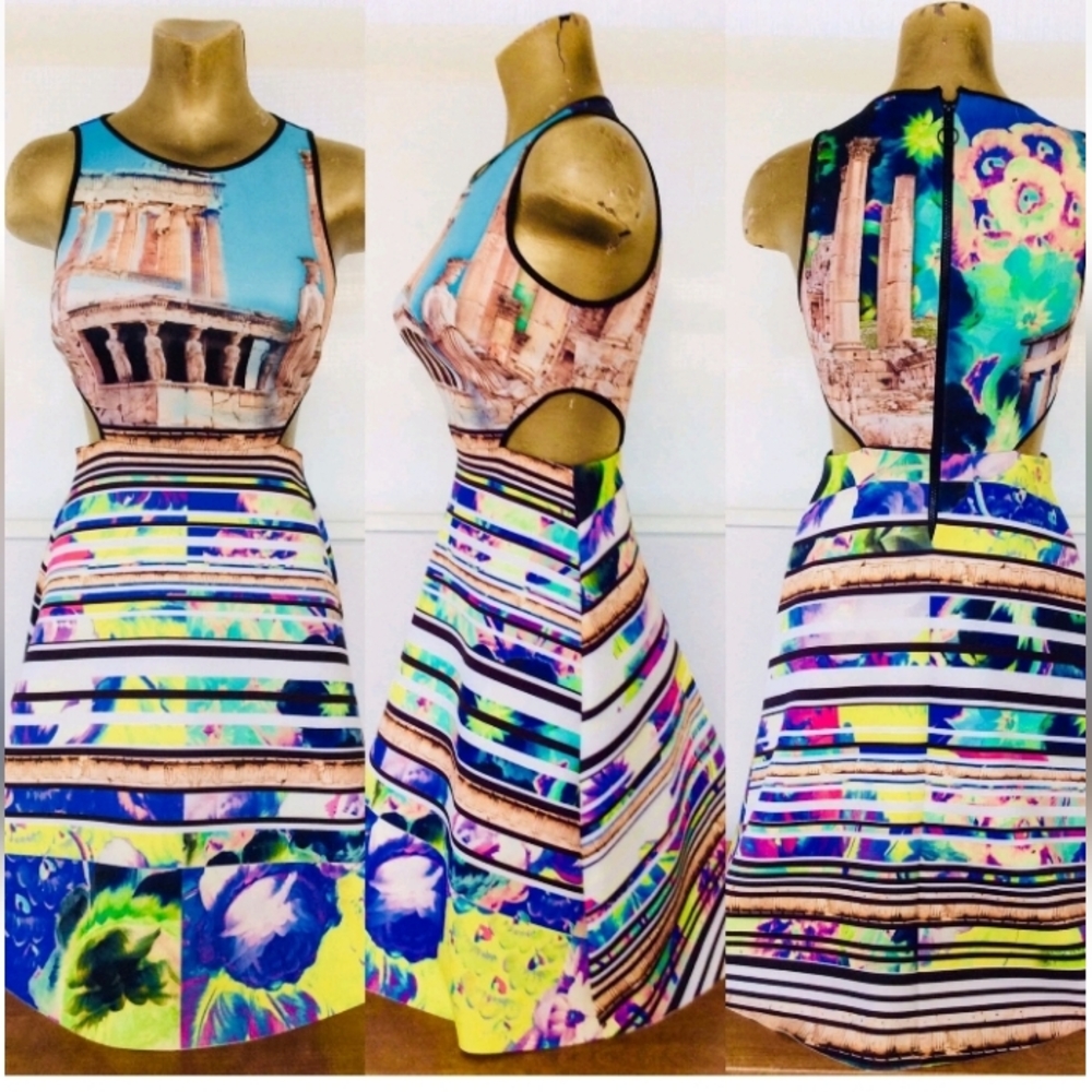 CLOVER CANYON Neoprene Scuba ACROPOLIS GARDEN Print Cut-Out Sides Fit & Flare M